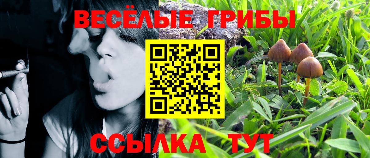 Среднеуральск  Галлюциногенные грибы Cubensis  Вход с VPN 