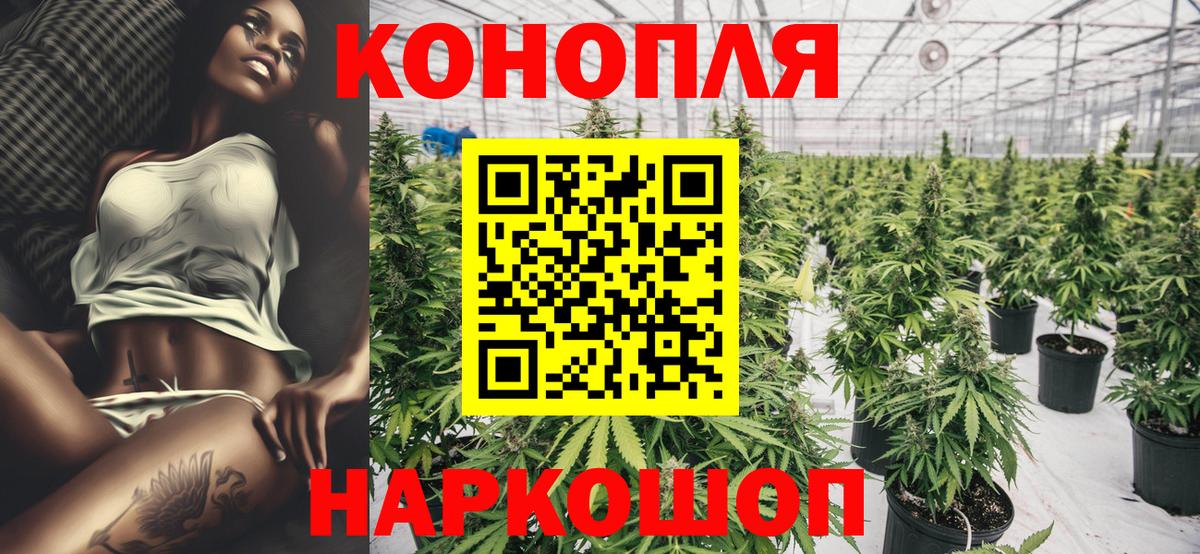 Бошки Шишки семена Среднеуральск